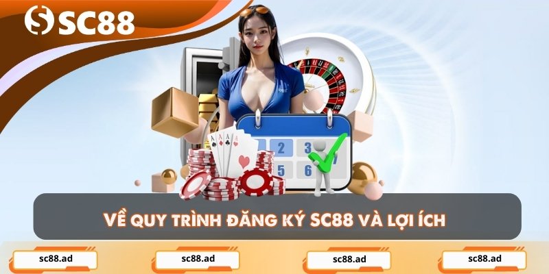 Về quy trình đăng ký SC88 và lợi ích
